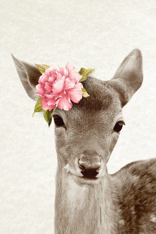 Floral Deer