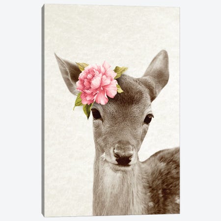 Floral Deer Canvas Print #AVN49} by Amelie Vintage Co Canvas Wall Art