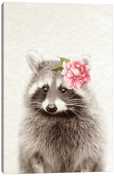 Floral Raccoon Canvas Art Print - Raccoon Art