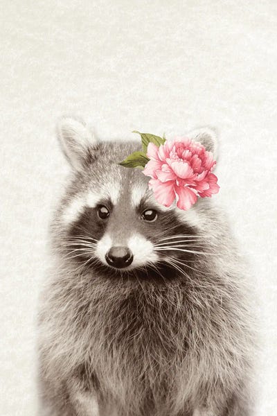 Raccoons: Floral Raccoon by Amelie Vintage Co