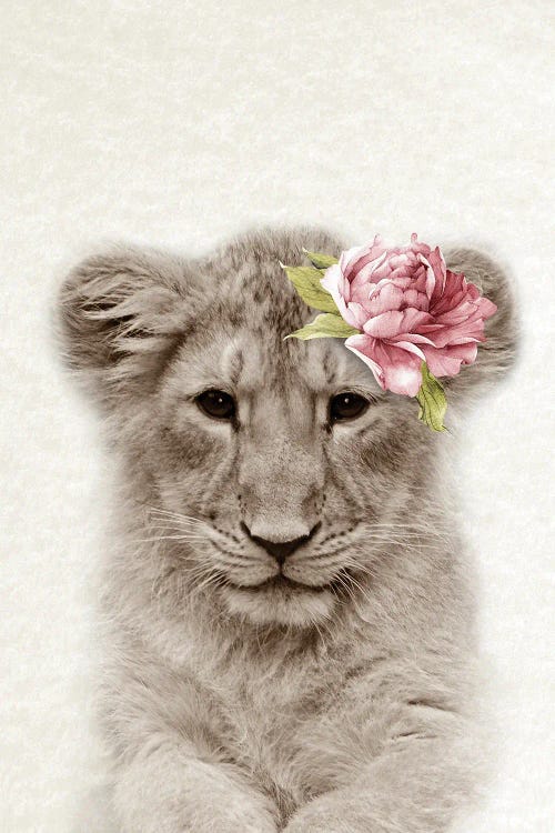 Floral Lion Cub