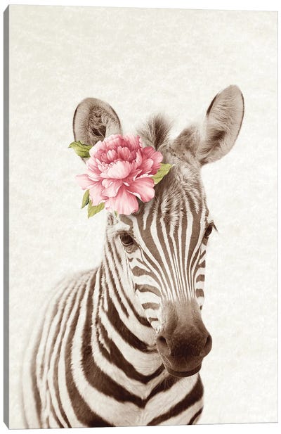 Floral Zebra Canvas Art Print - Amelie Vintage Co