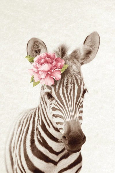 Zebras: Floral Zebra by Amelie Vintage Co