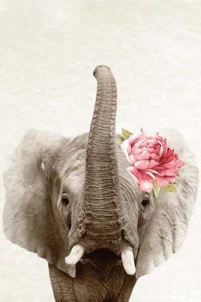 Floral Elephant by Amelie Vintage Co art print