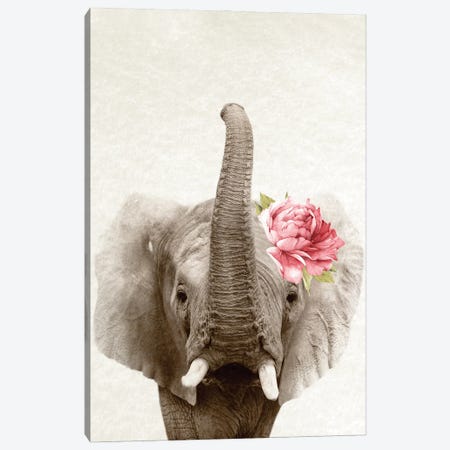 Floral Elephant Canvas Print #AVN56} by Amelie Vintage Co Canvas Art