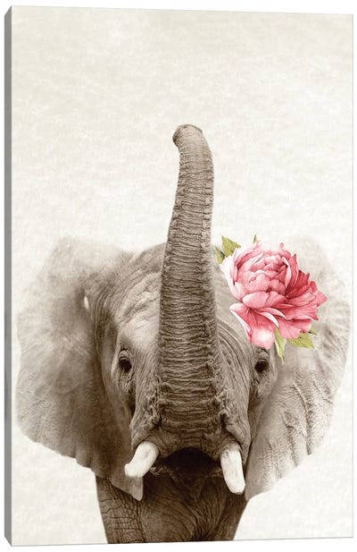 Floral Elephant Canvas Art Print - Amelie Vintage Co