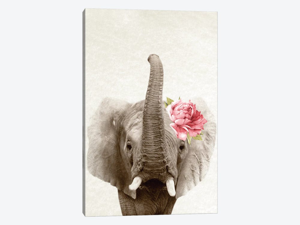 Floral Elephant by Amelie Vintage Co 1-piece Canvas Wall Art