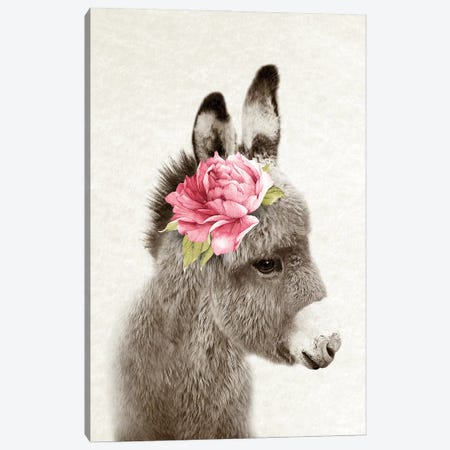 Floral Donkey Canvas Print #AVN57} by Amelie Vintage Co Canvas Wall Art