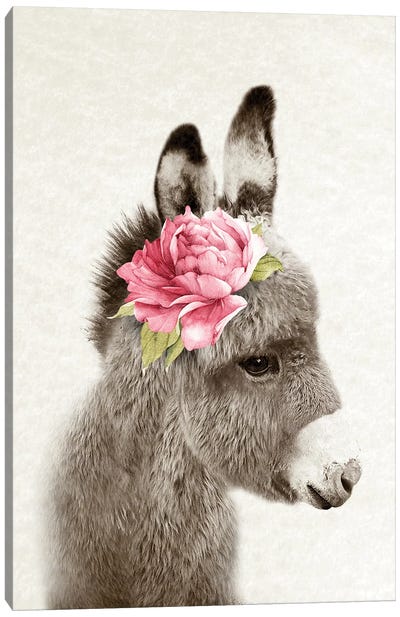 Floral Donkey Canvas Art Print - Donkey Art