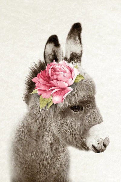 Donkeys: Floral Donkey by Amelie Vintage Co