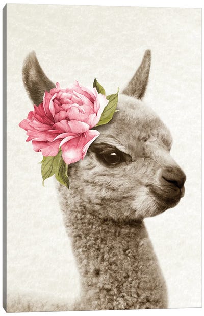 Floral Llama Canvas Art Print - Llama & Alpaca Art