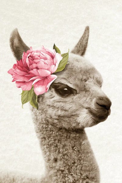 Llamas: Floral Llama by Amelie Vintage Co