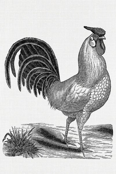 French Country Décor: Vintage Rooster by Amelie Vintage Co