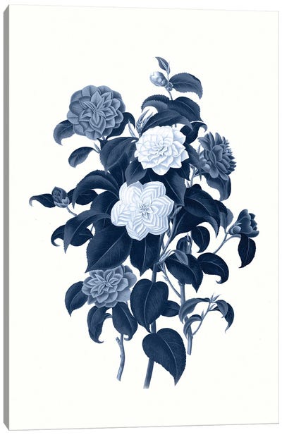 Vintage Blue Botanical II Canvas Art Print - Granny Chic