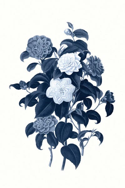 Amelie Vintage Co: Vintage Blue Botanical II by Amelie Vintage Co