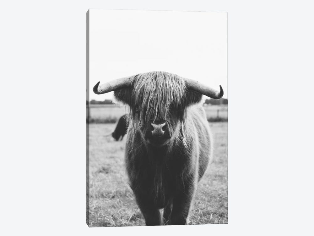 Highland Cow by Amelie Vintage Co 1-piece Art Print