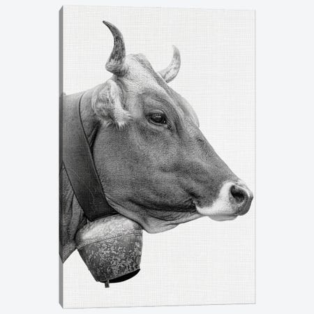 Bell Cow Canvas Print #AVN76} by Amelie Vintage Co Canvas Wall Art