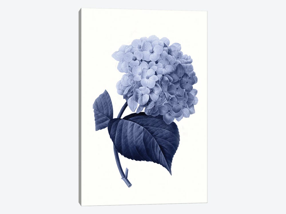 Vintage Blue Botanical I by Amelie Vintage Co 1-piece Canvas Print