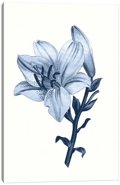 Vintage Blue Botanical III Canvas Art Print - Charming Blue