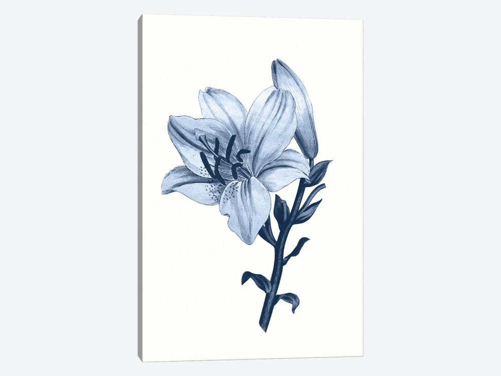 Vintage Blue Botanical III by Amelie Vintage Co 1-piece Canvas Wall Art