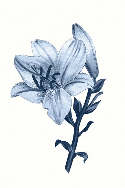 Amelie Vintage Co: Vintage Blue Botanical III by Amelie Vintage Co