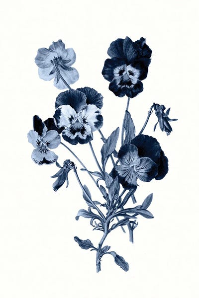Pansies: Vintage Blue Botanical IV by Amelie Vintage Co