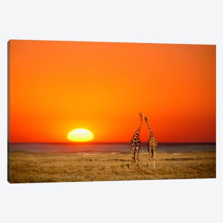 Giraffe Couple, Etosha National Park, Namibia Canvas Print #AVS1} by Janis Miglavs Canvas Artwork