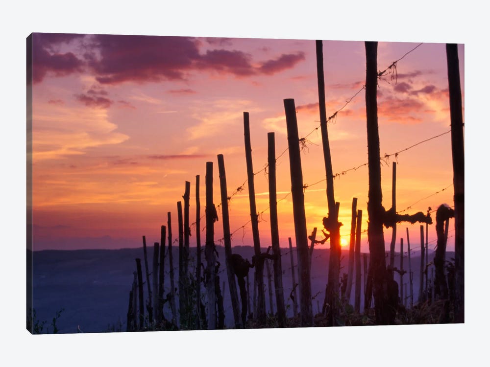 Countryside Sunset, Tuscany Region, Italy by Janis Miglavs 1-piece Art Print