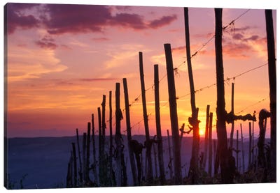 Countryside Sunset, Tuscany Region, Italy Canvas Art Print - Tuscany Art