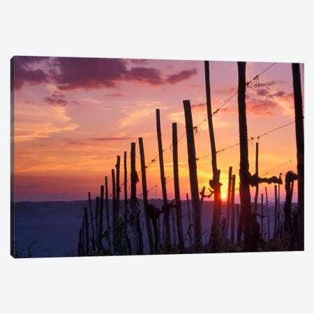 Countryside Sunset, Tuscany Region, Italy Canvas Print #AVS2} by Janis Miglavs Canvas Wall Art
