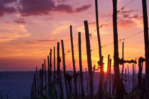 Countryside Sunset, Tuscany Region, Italy