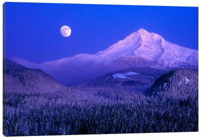 Moonlit Landscape Featuring Mount Hood (Wy'east), Oregon, USA Canvas Art Print - Mount Hood Art
