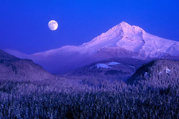 Cascade Range: Moonlit Landscape Featuring Mount Hood (Wy'east), Oregon, USA by Janis Miglavs