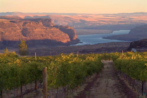 Vineyards: Columbia River With Cave B Vineyard In The Foreground, Grant County, Columbia Valley AVA, Washington, USA by Janis Miglavs