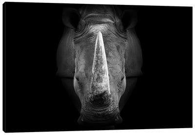 Rhinoceros Staring Straight Ahead Black White Canvas Art Print - Adrian Vieriu