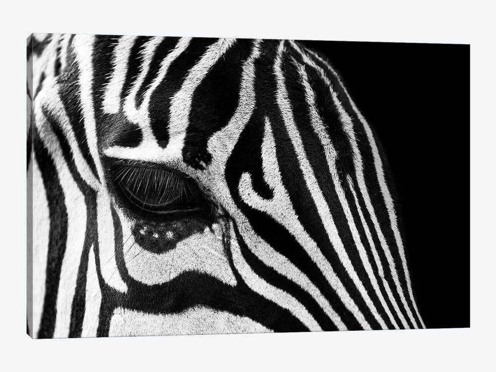Zebra Eye Black And White by Adrian Vieriu 1-piece Art Print