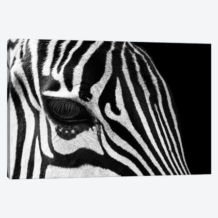 Zebra Eye Black And White Canvas Print #AVU103} by Adrian Vieriu Canvas Artwork