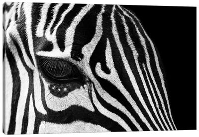 Zebra Eye Black And White Canvas Art Print - Adrian Vieriu