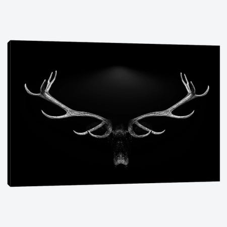 Deer Antlers Portrait Isolated Black White Background Canvas Print #AVU104} by Adrian Vieriu Art Print