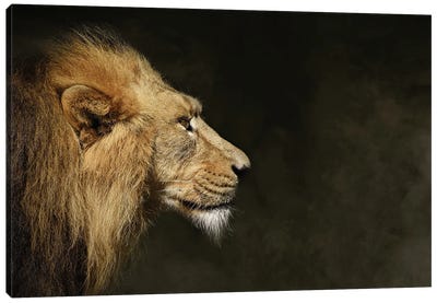 The Lion Face Profile Canvas Art Print - Adrian Vieriu