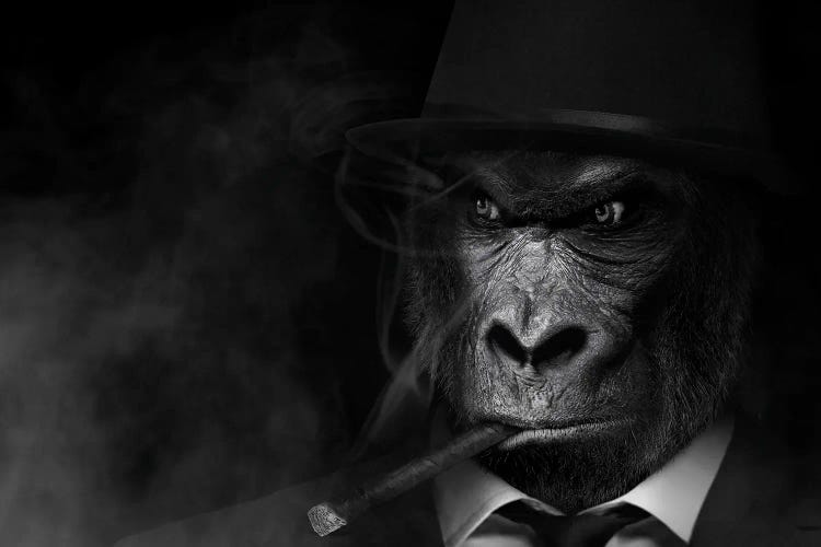 Man In The Form Of Gorilla Person Smoking Black White