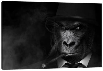 Man In The Form Of Gorilla Person Smoking Black White Canvas Art Print - Gorilla Art