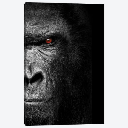 Gorilla Head Isolated To Black Background Canvas Print #AVU134} by Adrian Vieriu Canvas Art