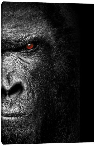 Gorilla Head Isolated To Black Background Canvas Art Print - Monkey Art