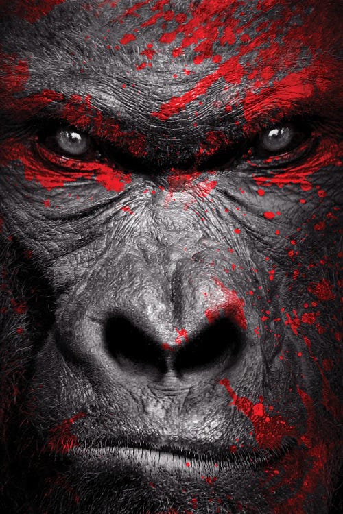 Gorilla Warrior Head Isolated To Black Background
