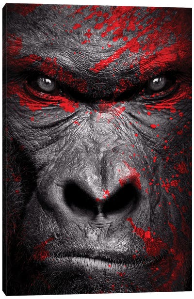 Gorilla Warrior Head Isolated To Black Background Canvas Art Print - Monkey Art