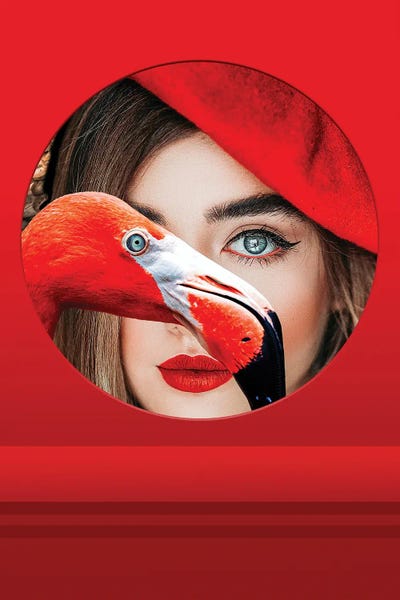 Flamingos: Red Womna, Abstract Art by Adrian Vieriu