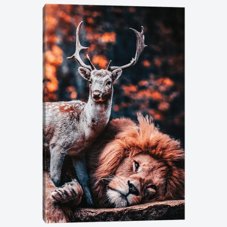 The Lion Is The Friend Of The Deer Canvas Print #AVU140} by Adrian Vieriu Canvas Art