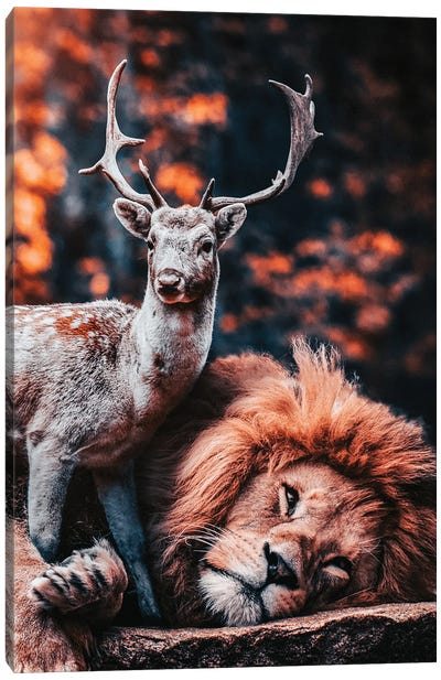 The Lion Is The Friend Of The Deer Canvas Art Print - Adrian Vieriu