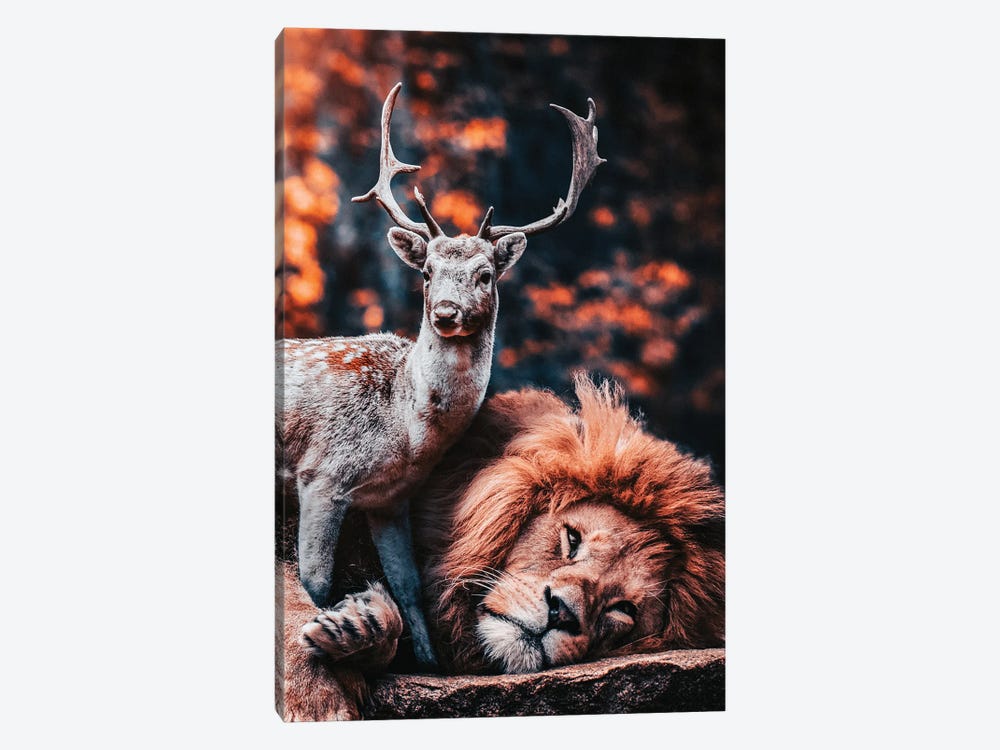The Lion Is The Friend Of The Deer by Adrian Vieriu 1-piece Canvas Wall Art
